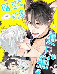 Crush Của Tôi Là Mèo đọc online